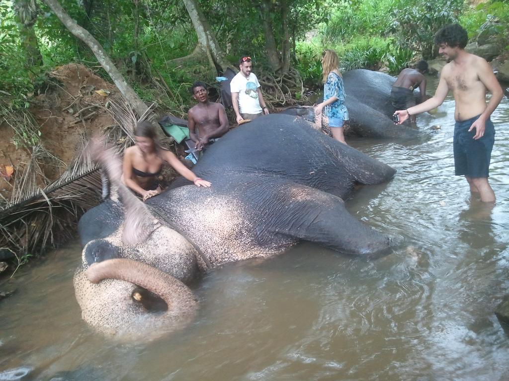 Jungle Village Homestay Пиннавела Экстерьер фото