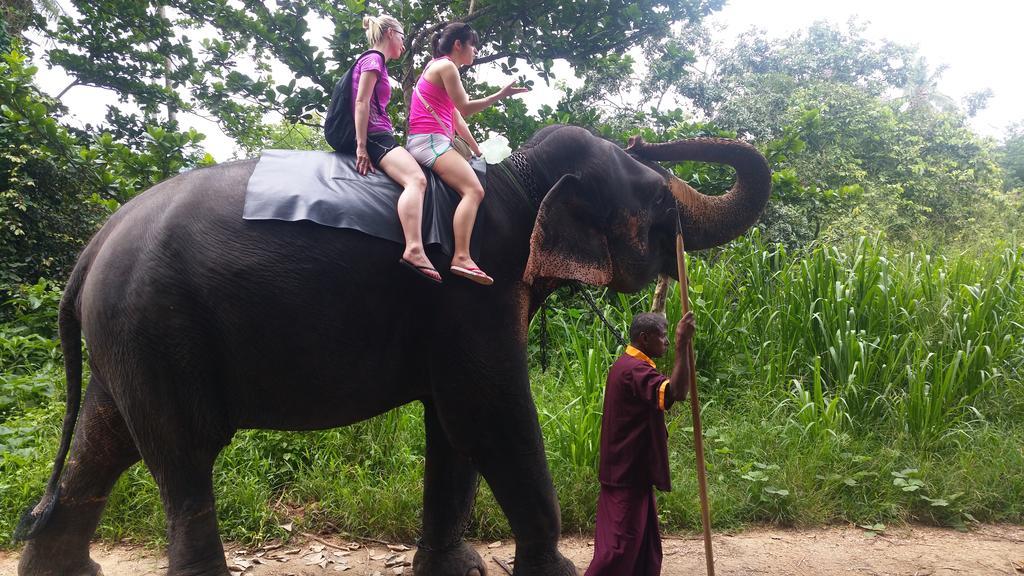 Jungle Village Homestay Пиннавела Экстерьер фото